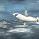 Illustration for article titled emKotaku Shop Contest/em: Hide The Megalodon